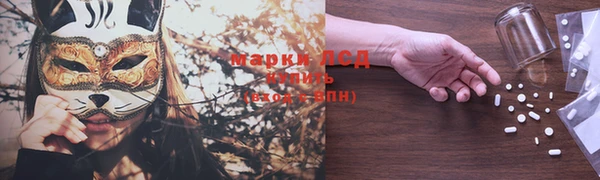 хмурый Аркадак