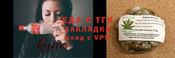 хмурый Аркадак