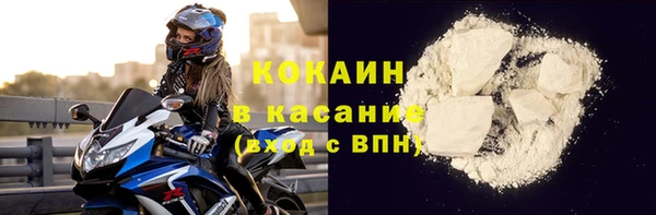 хмурый Аркадак
