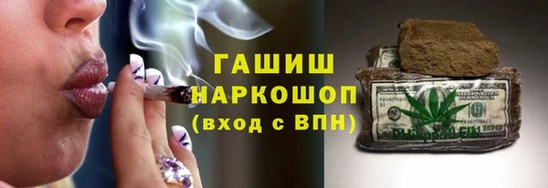 хмурый Аркадак