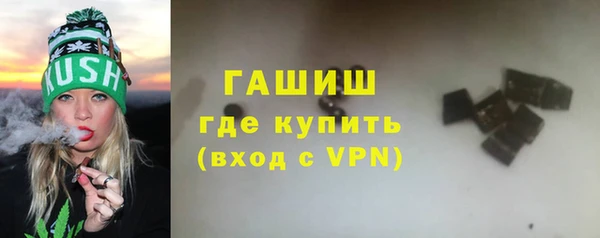 хмурый Аркадак