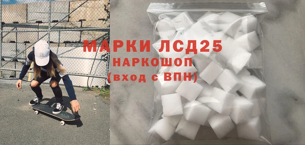 хмурый Аркадак