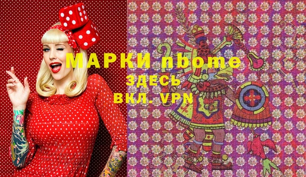 хмурый Аркадак