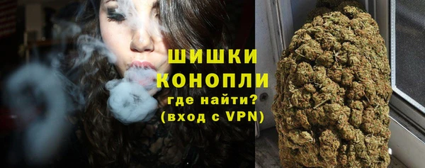 хмурый Аркадак