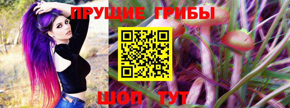 Унеча  Псилоцибиновые грибы Magic Shrooms  Вход с VPN  Псилоцибиновые грибы мицелий 